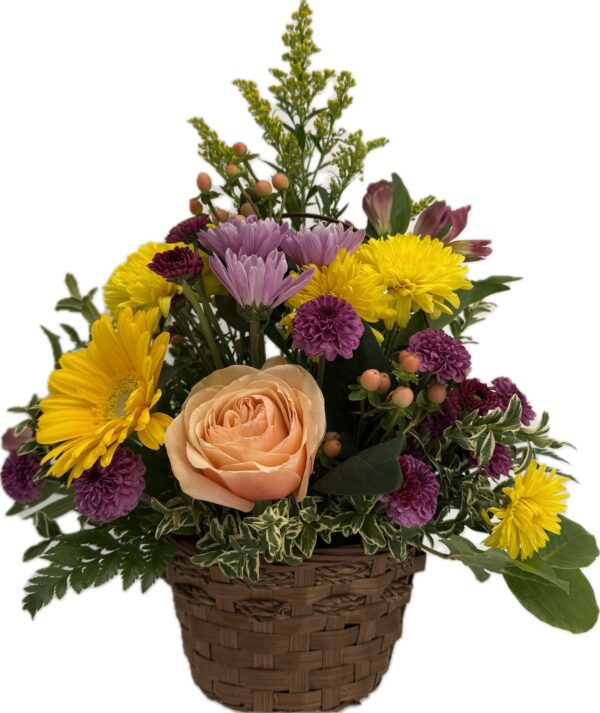 Basket arrangement with yellow gerb daisy, pink rose, purple mums, peach hypericum, solid aster