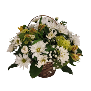 Daisy Basket Bouquet